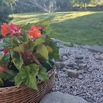 Ada &